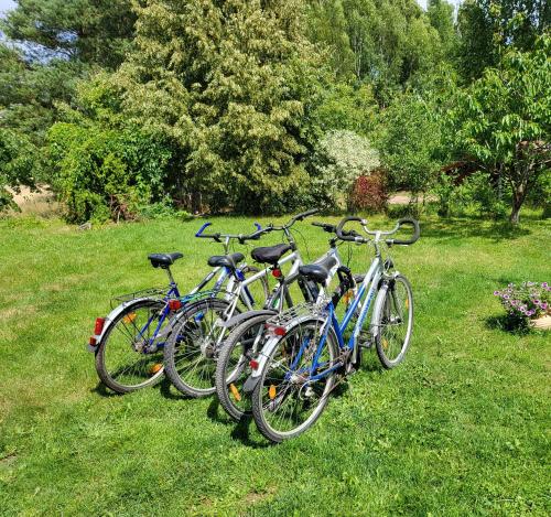 Lipusz的住宿－Borowe Chatki nad Lubiszewem，三辆自行车停在草地上