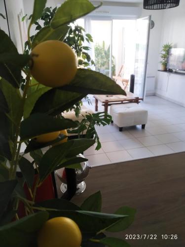 - un salon avec un citronnier et un canapé dans l'établissement A Poitiers, 2 chambres, très bel appartement de 65 m2, à Poitiers