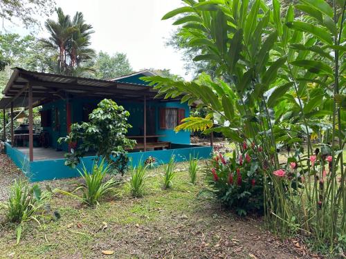 a blue house in the middle of a garden at Mono Azul Cahuita in Cahuita