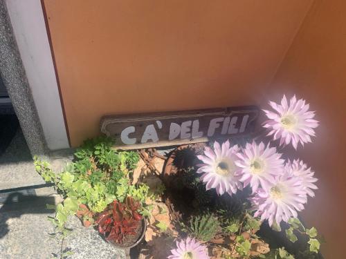 um sinal que diz ga delhi ao lado de algumas flores em Cà del Fili em Lenno