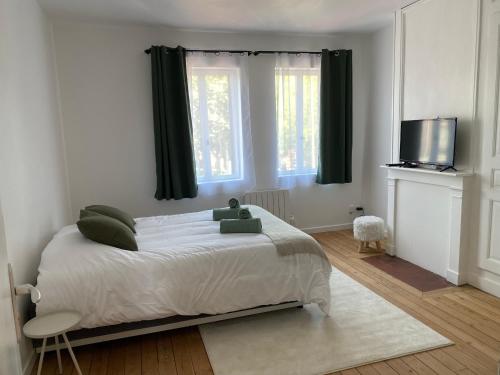 a bedroom with a large bed and a television at Hortensia*Proche Centre-Ville et CHU*Parking in Amiens