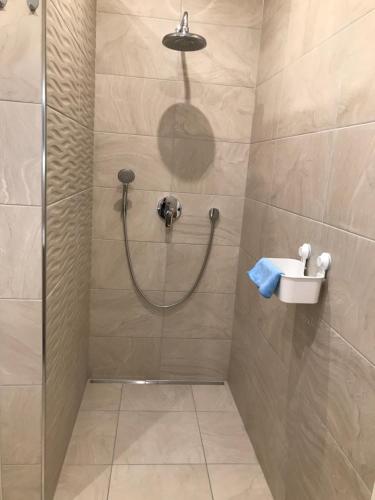eine Dusche mit Duschkopf und ein Waschbecken im Bad in der Unterkunft Ferienhaus Kader in Eckernförde