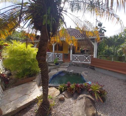 una casa con una palmera y una pequeña piscina en Villa CACAO, en Rivière-Salée