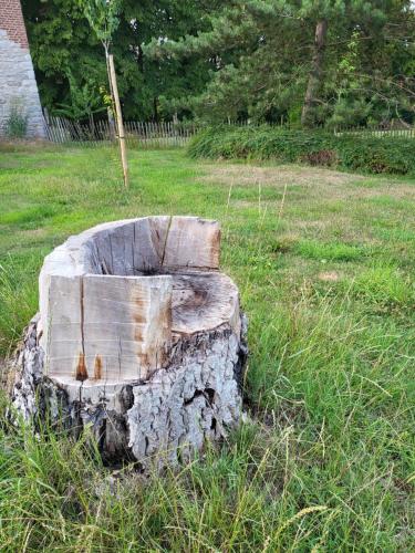 a log sitting in the grass in a field at A la salle de jeux in Dinant