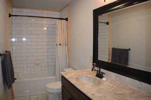 uma casa de banho com um lavatório, um WC e um espelho. em Cozy cabin with boosted Wi-Fi em Beech Mountain