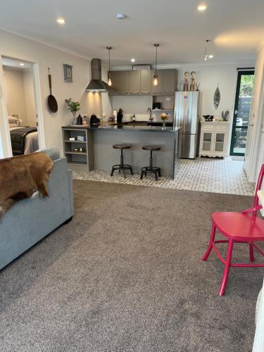a kitchen and living room with a dog laying on a couch at Boutique on Edinburgh in Invercargill