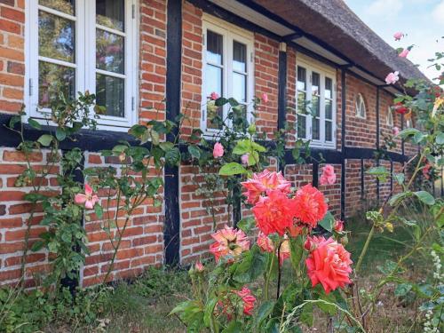 Κήπος έξω από το 6 person holiday home in Guldborg-By Traum