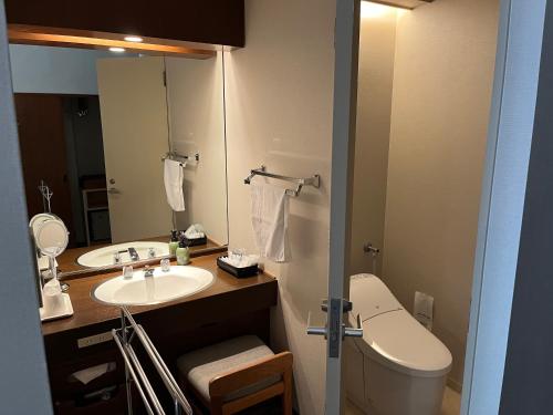 a bathroom with a sink and a toilet and a mirror at Spa and Esthetique Suichokan-Female&Adult Only in Jozankei