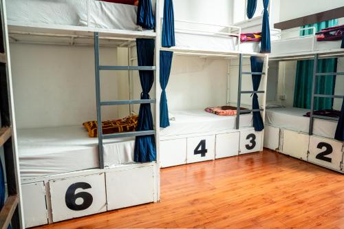 a room with four bunk beds and a wooden floor at Dreamyard Udaipur in Udaipur