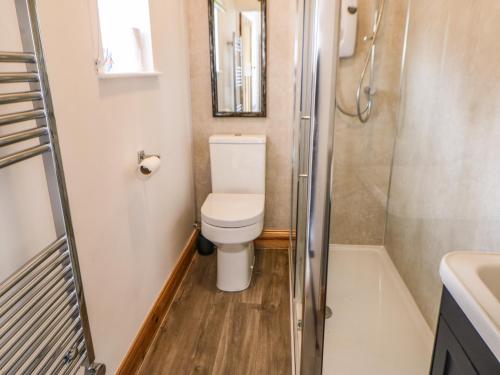 a small bathroom with a toilet and a shower at Stable Cottage in Belford