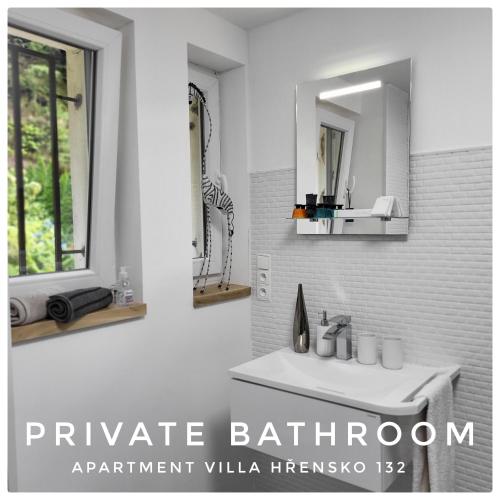 a bathroom with a sink and a mirror at Apartment Villa Hřensko 132 in Hřensko