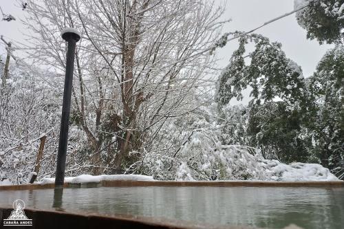 a snow covered yard with a light pole and trees at Cabaña Andes in El Canelo
