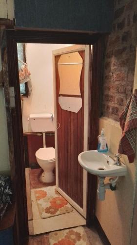 a small bathroom with a toilet and a sink at Steve's cottage-homely in Nanyuki