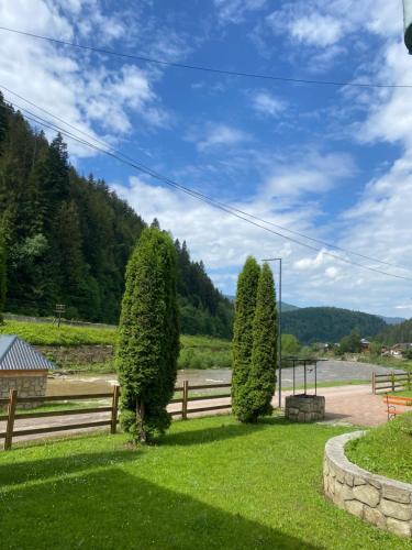 two trees in a yard next to a fence at Садиба "Джерело" in Yaremche