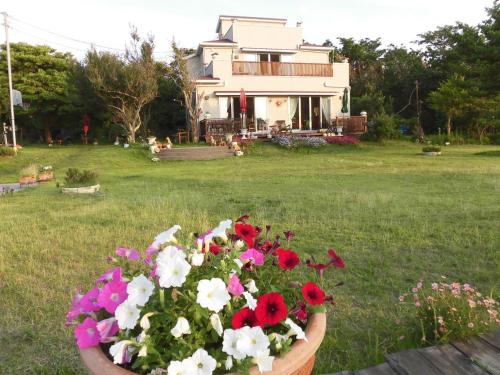 Zahrada ubytování Pension Alba - Vacation STAY 70972v