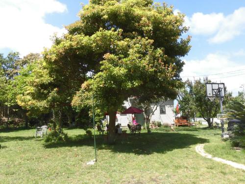 Zahrada ubytování Pension Alba - Vacation STAY 70965v