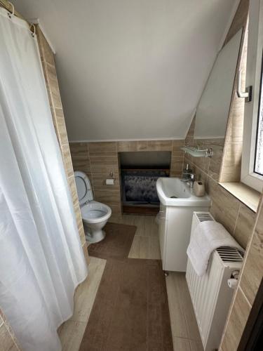 een badkamer met een wit toilet en een wastafel bij Casa Anisia Hunedoara in Hunedoara