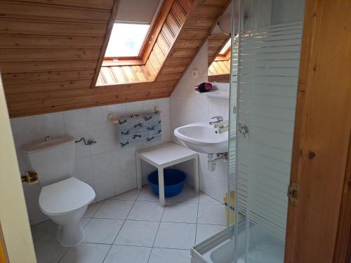 un piccolo bagno con servizi igienici e lavandino di Alinka Apartmanház a Balatonlelle