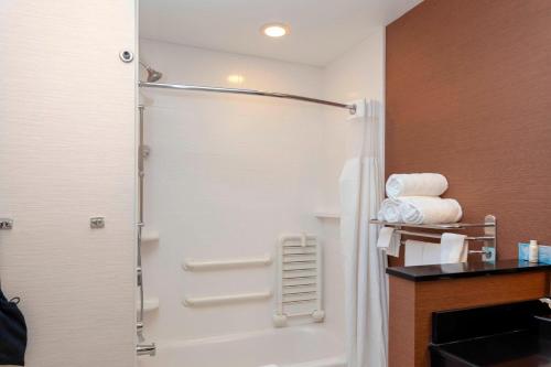 a shower with a glass door in a bathroom at Fairfield Inn & Suites by Marriott Alamosa in Alamosa