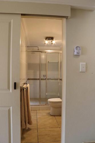 a bathroom with a toilet and a walk in shower at Phoenix Lodge - Ramsgate KwaZulu Natal in Margate