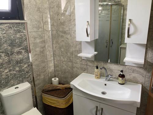 La salle de bains est pourvue d'un lavabo, de toilettes et d'un miroir. dans l'établissement Herold's Guesthouse, à Umraniye