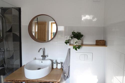 a bathroom with a sink and a mirror at Hiška pod Klumpo in Ormoz