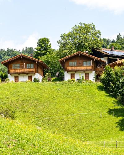 a couple of houses on a grassy hill at Chalets Lampllehen in Marktschellenberg