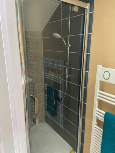 une douche avec une porte vitrée dans une salle de bain dans l'établissement La Maison Passageon, Tout confort, à Châteauroux