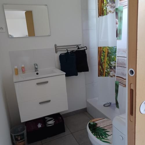 une salle de bain avec un lavabo et des toilettes dans l'établissement Andre, à Ollioules