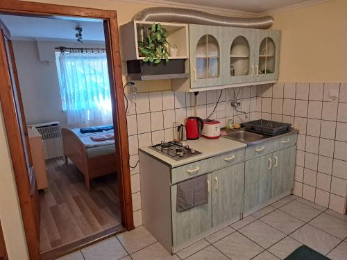 kuchnia ze zlewem i kuchenką górny piekarnik w obiekcie Pink Tulip Apartment House w Siófoku