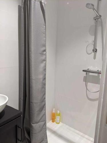 une salle de bain avec un rideau de douche et un lavabo dans l'établissement 