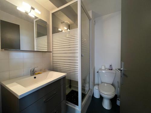 une salle de bain avec un lavabo, des toilettes et un miroir dans l'établissement Appartement Le Barcarès vue mer, au Barcarès