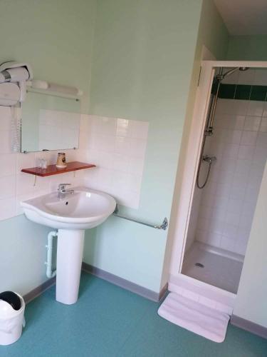 een witte badkamer met een wastafel en een douche bij le valoria delph et greg 