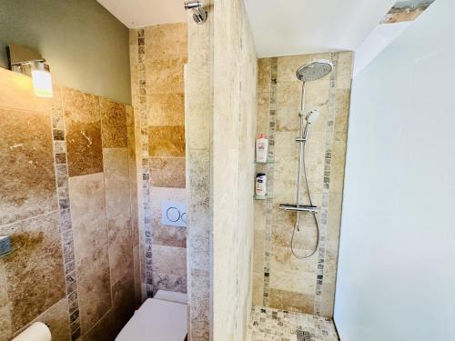 a bathroom with a shower and a toilet at Maison en pierre, piscine, spa in Buis-les-Baronnies