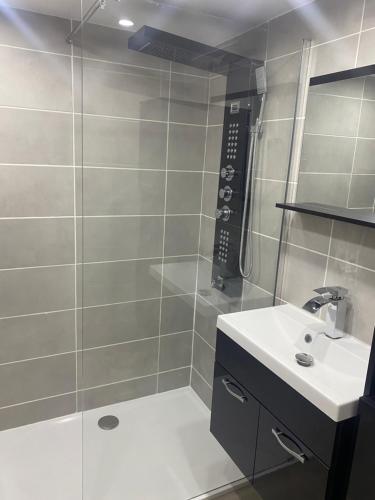 a bathroom with a shower and a sink at Gîte à la campagne in Beaux