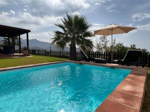 a swimming pool with a palm tree and an umbrella at Vela Luka Frigiliana in Frigiliana