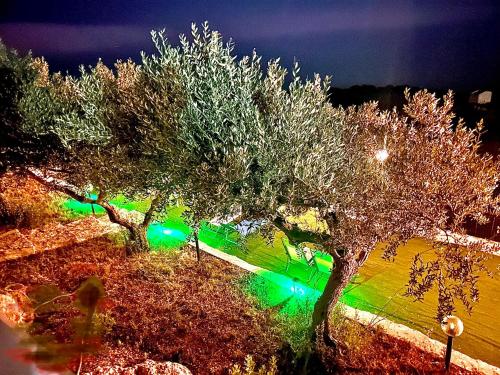 a group of trees with green lights in a park at La Collina sul Mare in Palma di Montechiaro