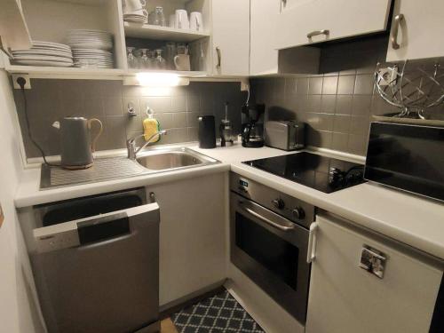 une petite cuisine avec un évier et une cuisinière dans l'établissement Charmant T2 avec balcon pour 2 pers à Cauterets, tout équipé, proche pistes - FR-1-234-306, à Cauterets