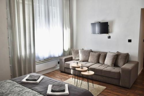 貝爾格勒的住宿－Apartment in Belgrade with small parking space，带沙发和电视的客厅