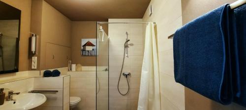 a bathroom with a shower and a toilet and a sink at Kleine Ferienwohnung für Zwei zwischen Allgäu und Bodensee 