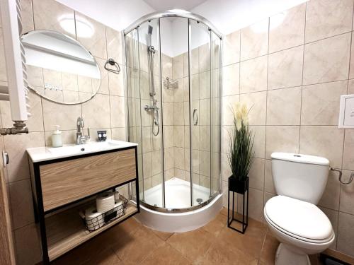 a bathroom with a shower and a toilet and a sink at DALBA pokoje przy samej plaży in Krynica Morska