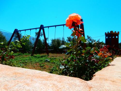 Jardín al aire libre en Pirgoi Edem