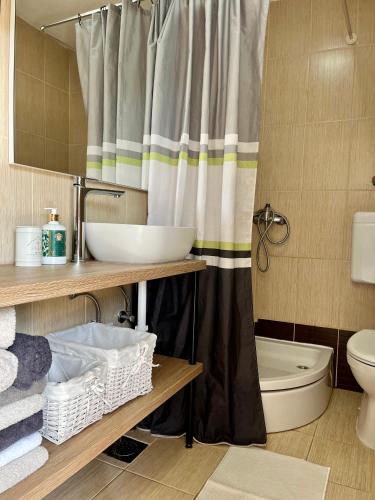 a bathroom with a sink and a shower at Apartments Stela in Gornji Karin