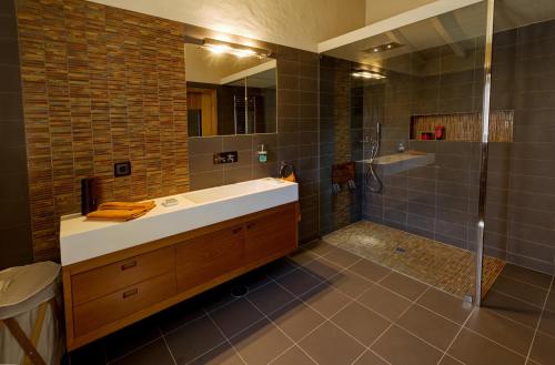 uma casa de banho com um lavatório e um chuveiro em Gato Preto de Silves - Adults Only em Silves