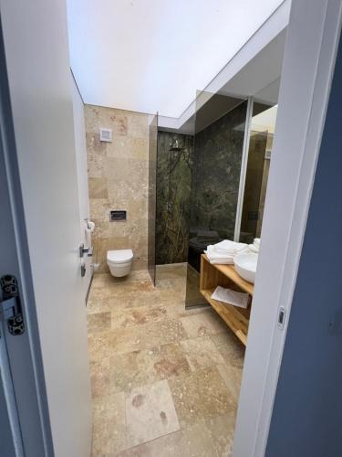 a bathroom with a toilet and a sink and a shower at Apartament Astria Olimp in Olimp