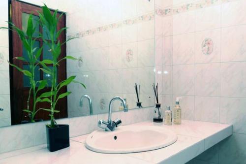 un bagno con lavandino e pianta in vaso di Luxury Colombo Escape a Talawatugoda