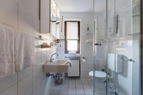 NiedersalweyにあるHaus am Sonnenhang Typ Bの白いバスルーム(洗面台、トイレ付)