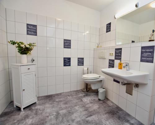 ein Bad mit einem Waschbecken und einem WC in der Unterkunft Apartment "oceanview" in Lubmin
