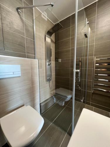 a bathroom with a toilet and a shower at Apartmán Roda2 Malé Lipno in Černá v Pošumaví