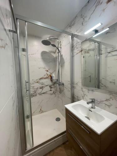 a bathroom with a shower and a sink and a shower at Appt 1 chambre jardin parking in Narbonne